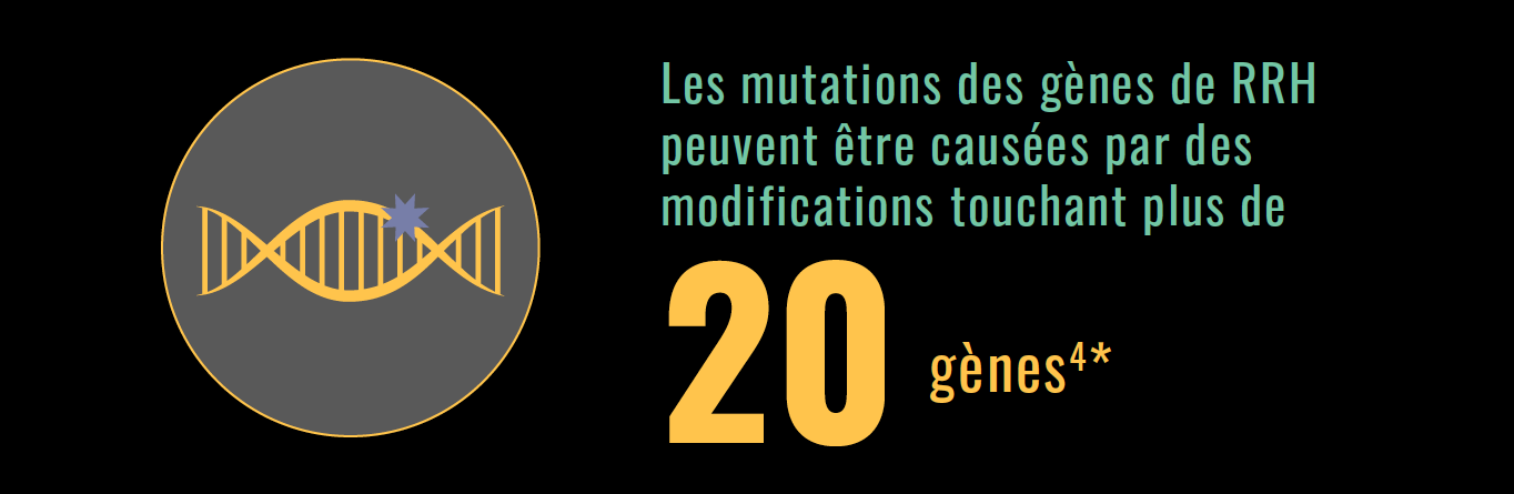 Image - DNA - Les mutations des gènes de RRH peuvent être causées par des modifications touchant plus de 20 gènes(4*)