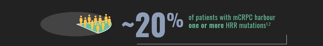 ~20% of patients with mCRPC harbour one or more HRR mutations(1,2)